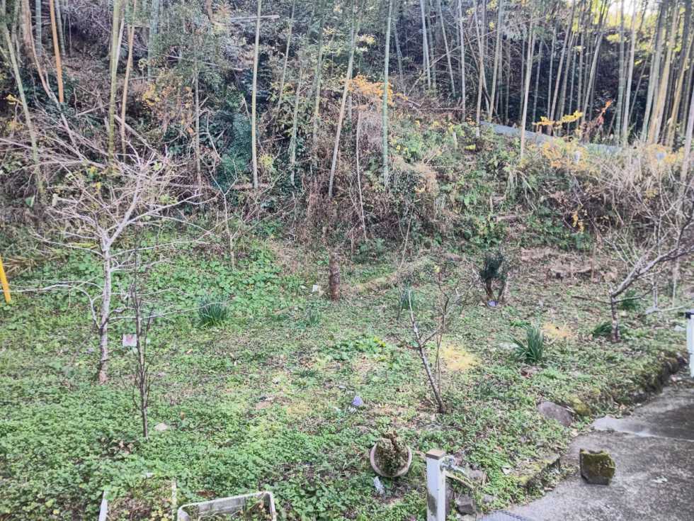 竹林付きの古民家