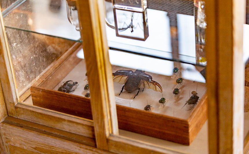 田舎暮らし便り #16 森孝之さん・安希子さん