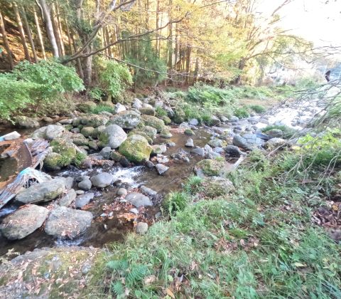 船田：川のすぐそば、5月にはホタルが舞う